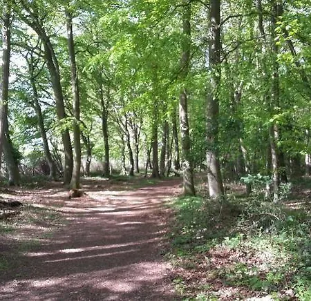 בית נופש Wald-chalet-nr-3 *