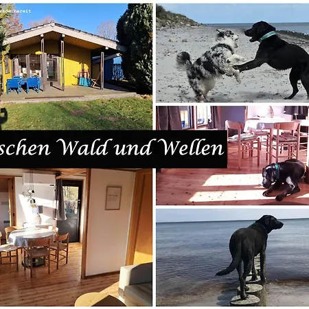 Wald-chalet-nr-3 קלנהוזן