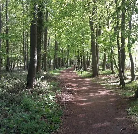 בית נופש Wald-chalet-nr-3 *